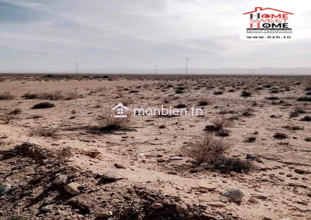 Terrain Agricole Pistachio à Vendre à Gafsa