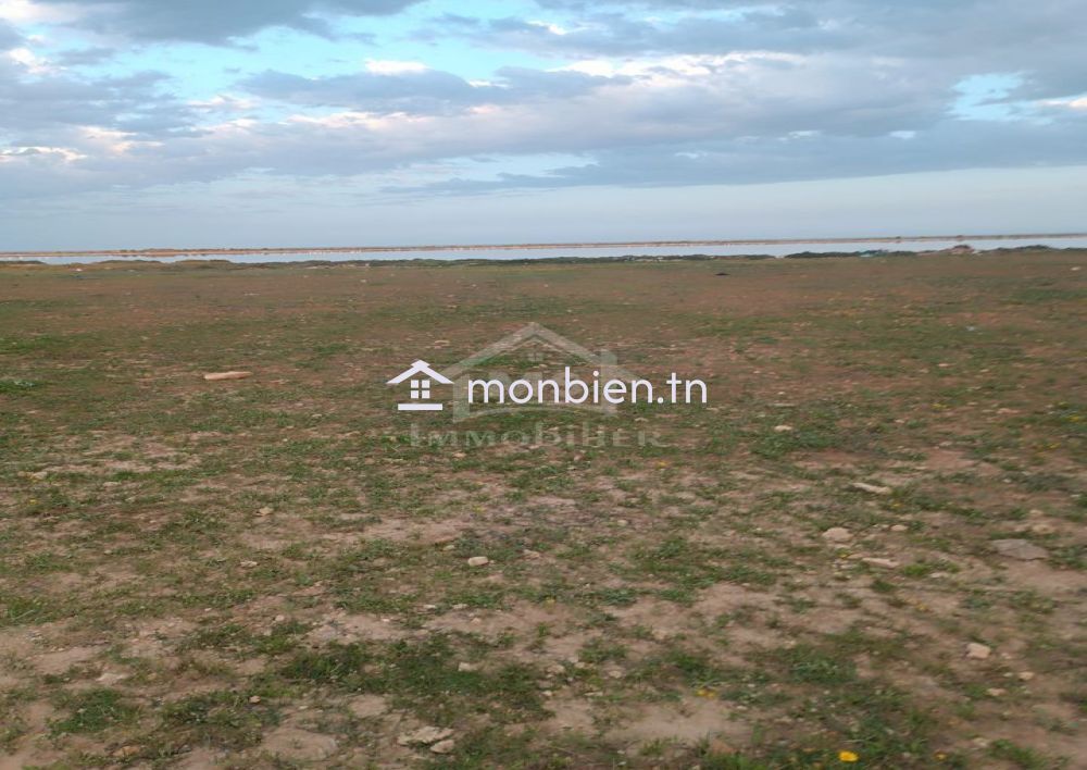 Terrain pieds dans l'eau de 9716 m² à korba à vendre51355351