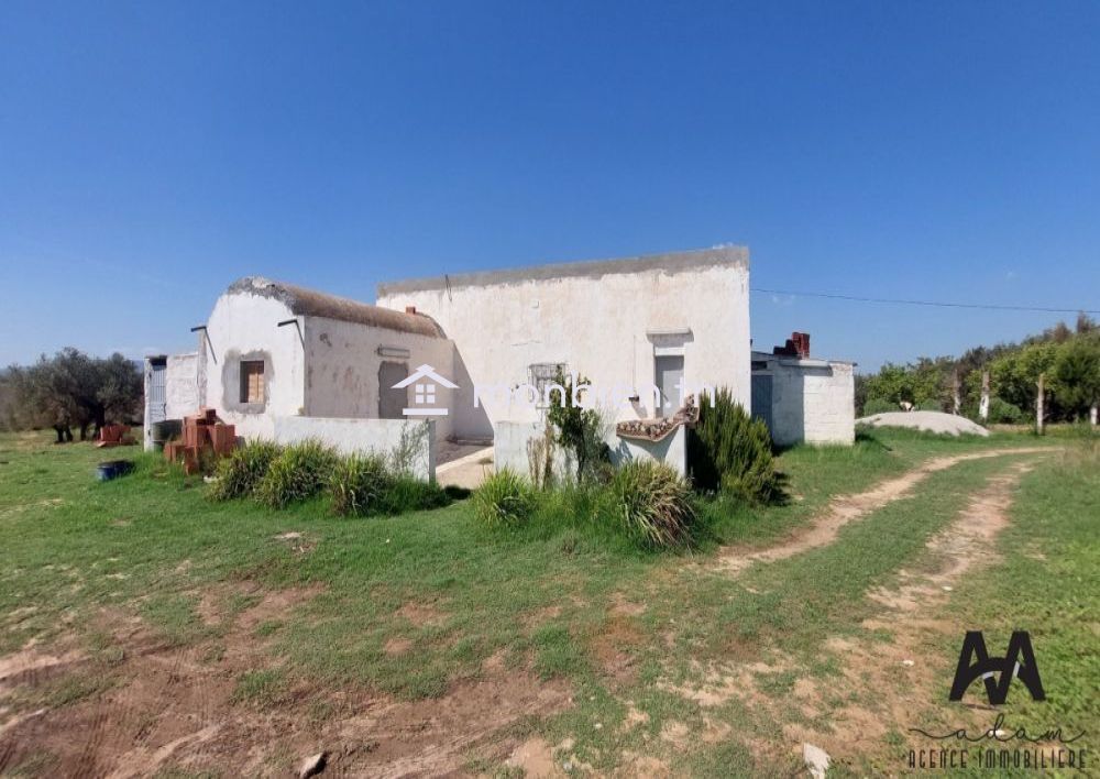 Terrain agricole de 71223m² à Mhadhba, Nabeul