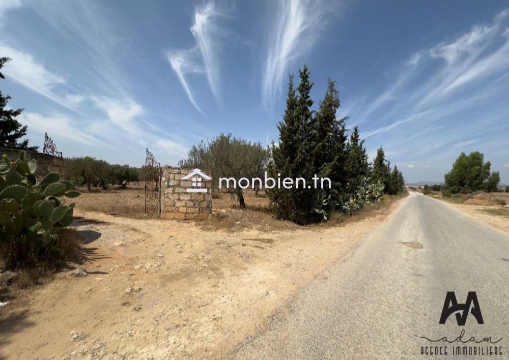 Terrain agricole de 57000m² à Boulidine Korba, Nabeul