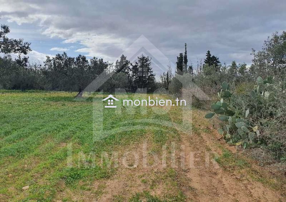 Terrain de 5042 m² à vendre à Hammamet Sud 51355351