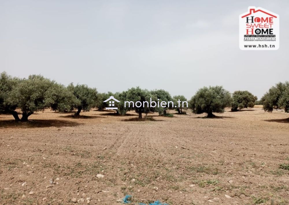 Terrain Agricole Jannah à Vendre à Teboursouk