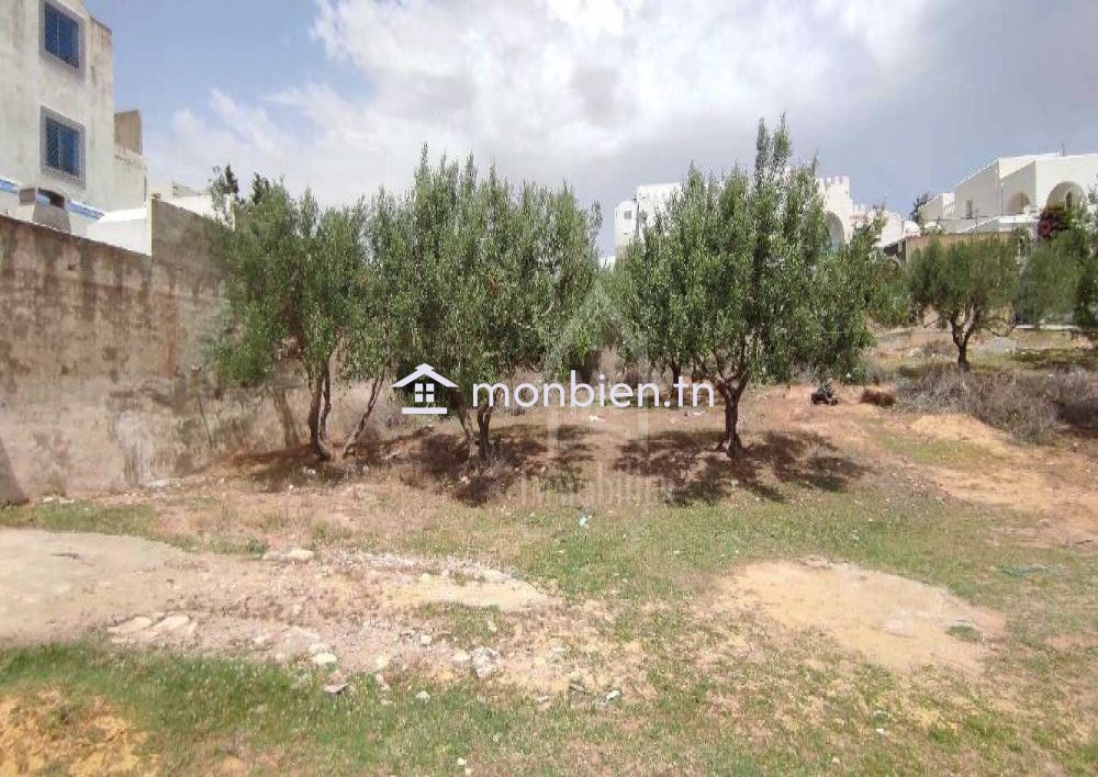 Terrain clôturé de 1122 m² à vendre à Hammamet Nord 51355351