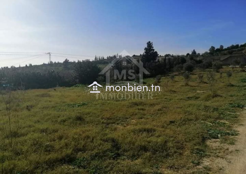 Terrain de 2500 m² à vendre à 270 MD à Hammamet Sud 51355351