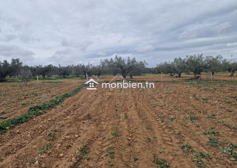 Terrain de 2740 m² à vendre à Hammamet Sud 51355351