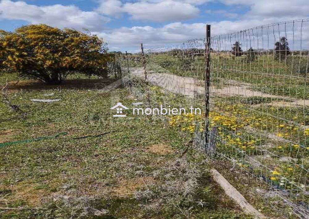 Un lot de terrain de 500 m² à vendre à 60 MD à Hammamet Sud 51355351