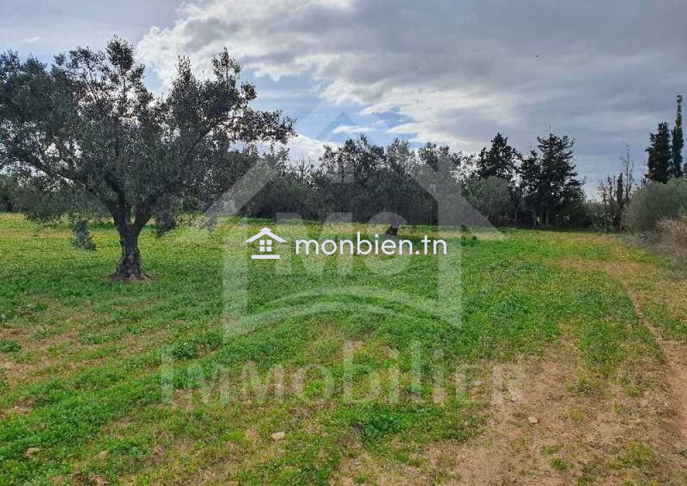 Terrain de 5042 m² à vendre à Hammamet Sud 51355351