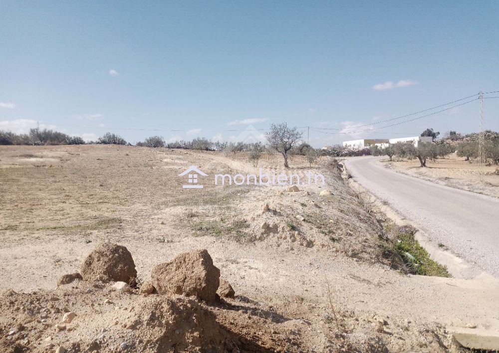 Terrain de 2800 m² à Hammamet Sud à vendre 51355351