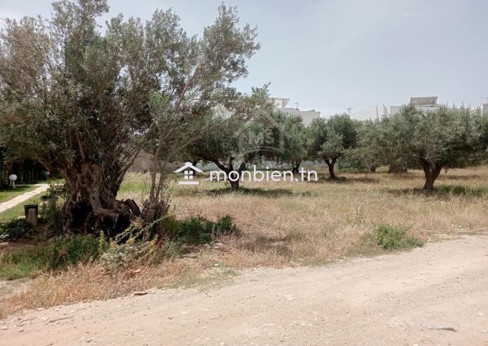 Un terrain de 574 m² à Sidi Mahressi à vendre 51355351