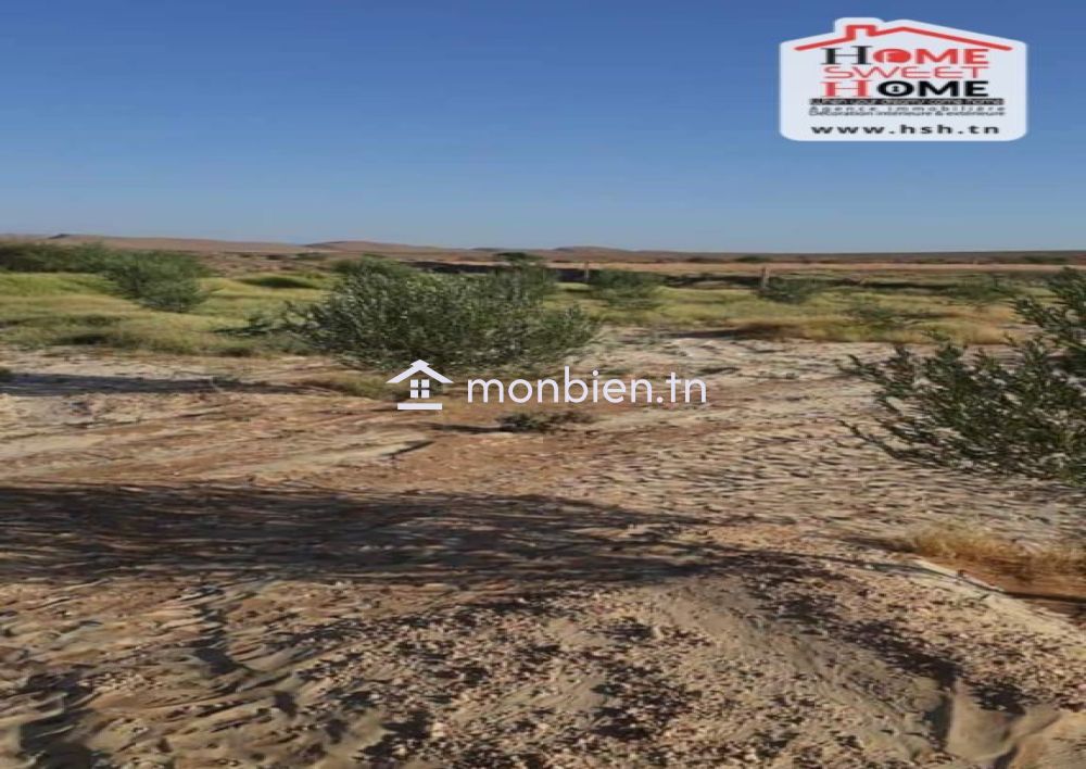 Terrain Agricole Louza à Vendre à EL Fajja Gafsa