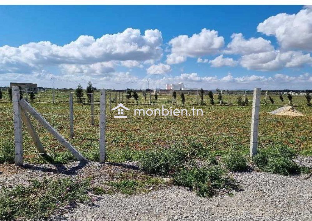 Terrain clôturé de 1000 m² à vendre à 110 MD à Hammamet Sud 51355351