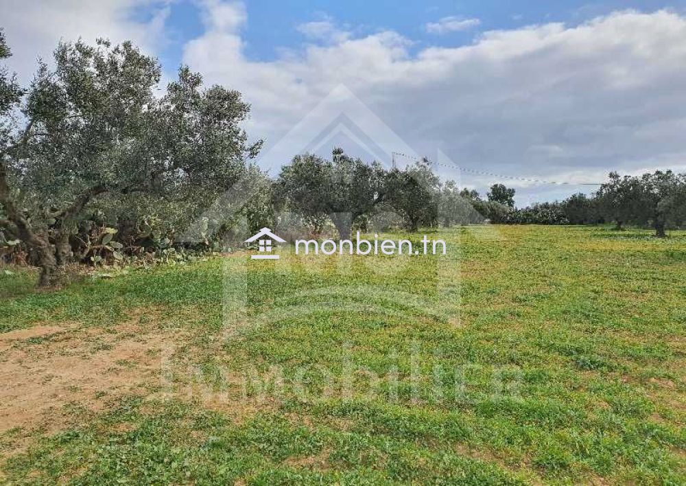 Terrain de 5042 m² à vendre à Hammamet Sud 51355351