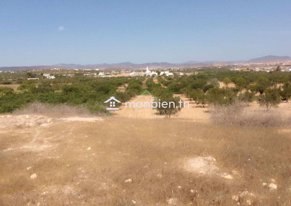 Terrain de 1000 m² à Hammamet Sud à vendre à 60 MD 51355351