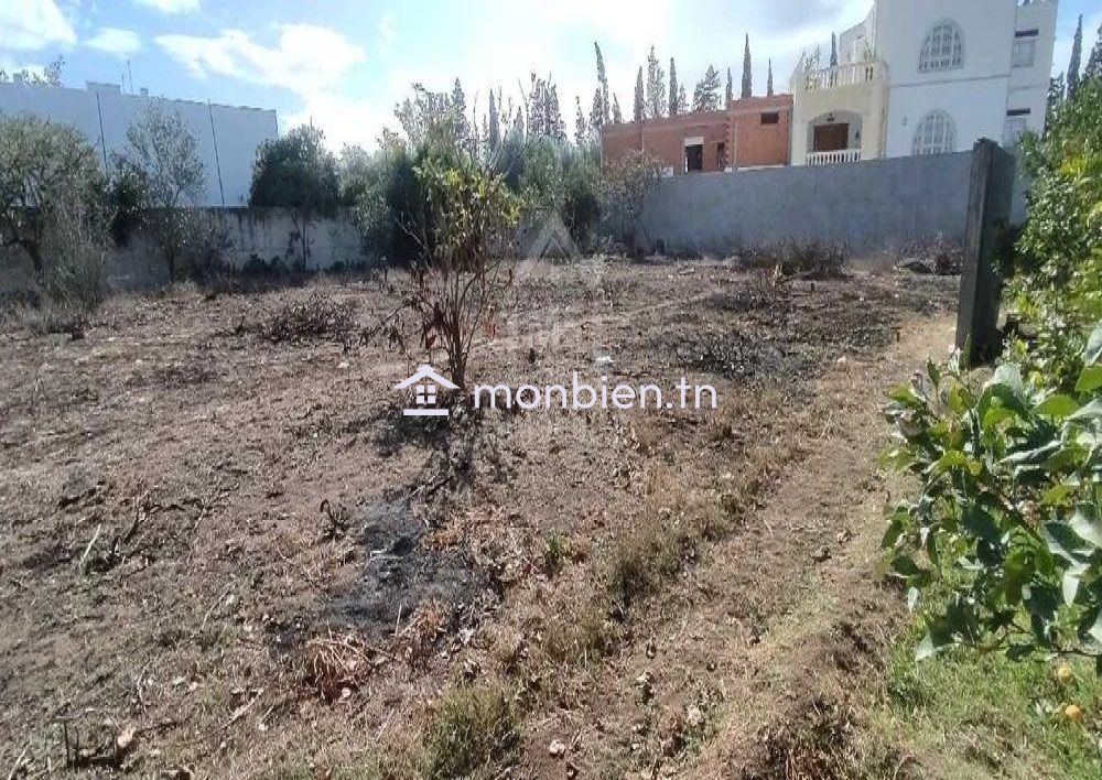 2 lots de terrain à vendre à Hammamet à 550 dt/m² 51355351