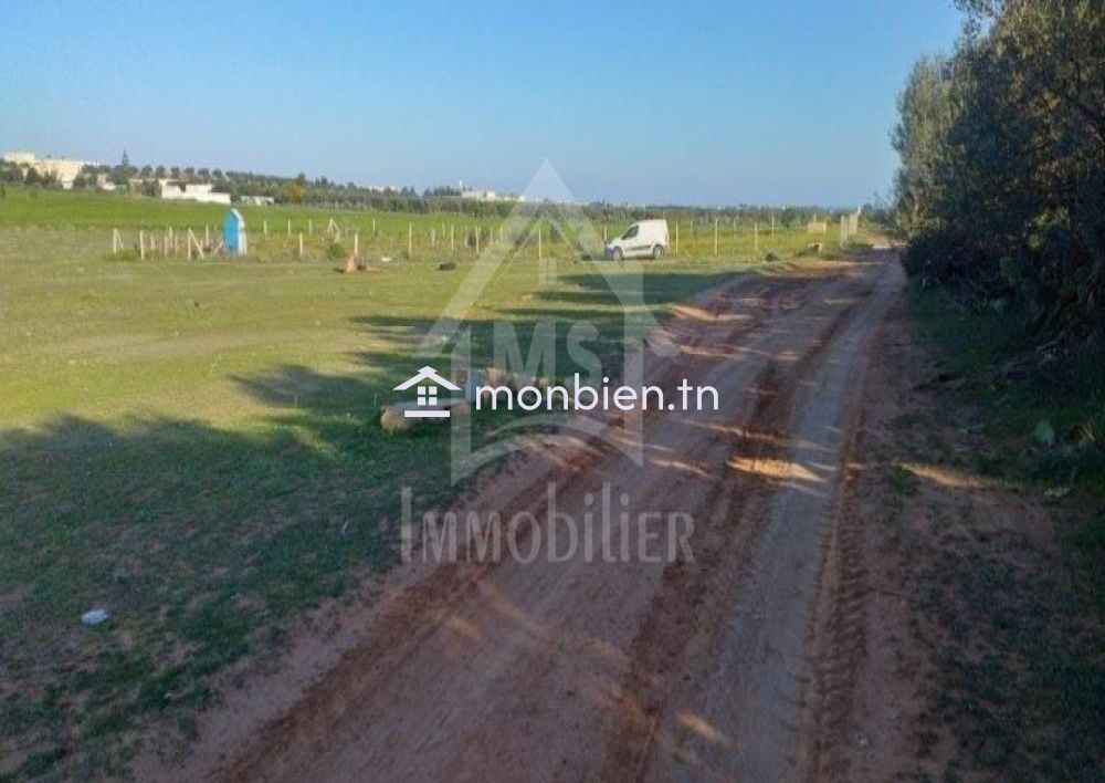 Terrain de 1000 m² à vendre à 85 MD à Hammamet Sud 51355351