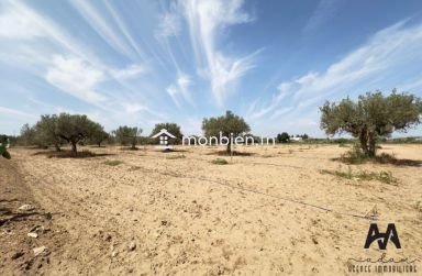 Terrain agricole de 57000m² à Boulidine Korba, Nabeul