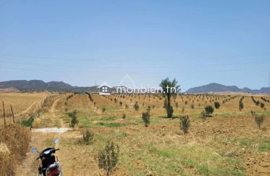 6.5 hectares avec une maison à vendre à Hammamet Sud51355351