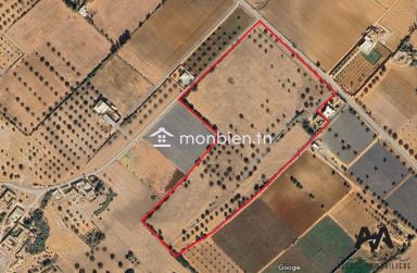 Terrain agricole de 57000m² à Boulidine Korba, Nabeul