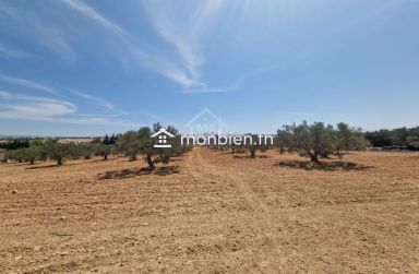 Terrain de 1000 m² à vendre à 200 MD à Hammamet Sud 51355351