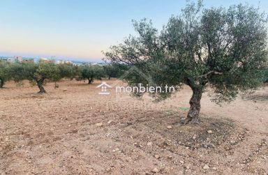 Terrain de 4018 m² à vendre à Hammamet Sud 51355351