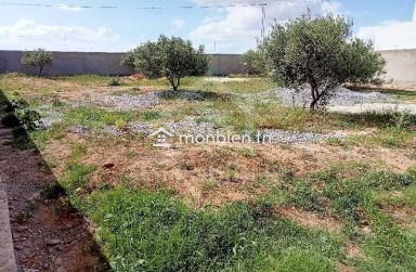 Terrain clôturé de 687 m² à vendre à Hammamet Sud 51355351