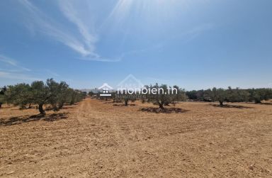 Terrain de 1000 m² à vendre à 200 MD à Hammamet Sud 51355351