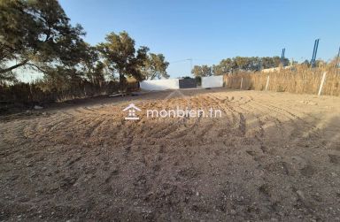 Terrain de 580 m² à Maamoura à vendre 51355351