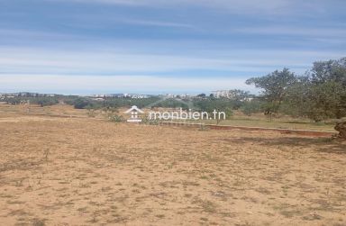 Terrain de 2000 m² à Hammamet Sud à vendre 51355351