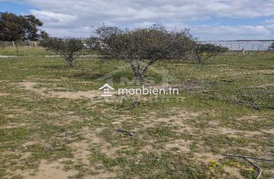 Un lot de terrain de 500 m² à vendre à 60 MD à Hammamet Sud 51355351