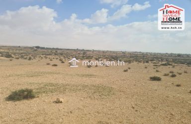 Terrain Agricole Serta à Vendre à Gafsa