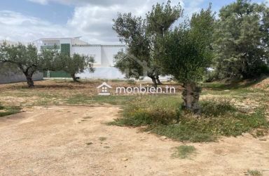 Superbe terrain de 650 m² à Hammamet Nord à vendre 51355351