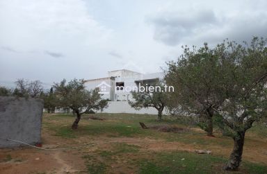 Terrain de 200 m² à Hammamet Nord à vendre 51355351