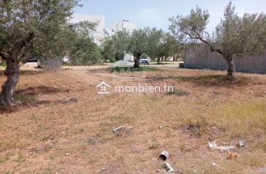 Superbe terrain de 325 m² à Hammamet Nord à vendre 51355351