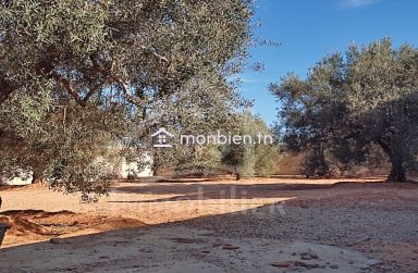 Terrain clôturé de 876 m² à Hammamet Sud à vendre 51355351