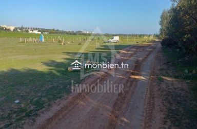 Terrain de 1000 m² à vendre à 85 MD à Hammamet Sud 51355351