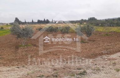 Terrain de 2200 m² à vendre à Hammamet Sud 51355351