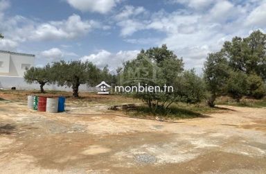 Superbe terrain de 650 m² à Hammamet Nord à vendre 51355351