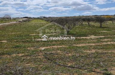 Un lot de terrain de 500 m² à vendre à 60 MD à Hammamet Sud 51355351