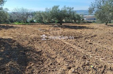 Un terrain de 1688 m² à vendre à Hammamet sud 51355351