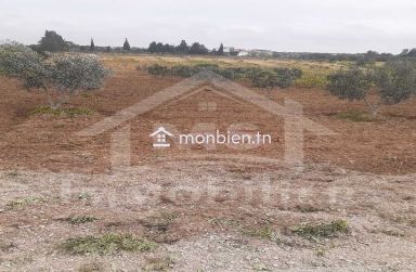 Terrain de 5042 m² à vendre à Hammamet Sud 51355351