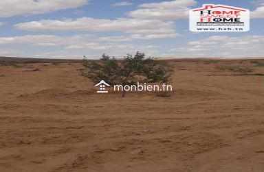 Terrain Agricole Louza à Vendre à EL Fajja Gafsa