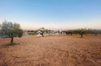 Terrain de 1000 m² à vendre à 200 MD à Hammamet Sud 51355351