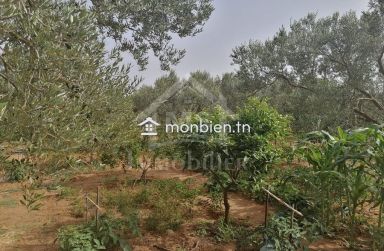 Terrain de 210 m² à vendre à la zone touristique Mrezga 51355351