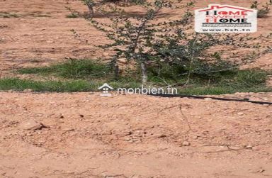 Terrain Agricole Louza à Vendre à EL Fajja Gafsa