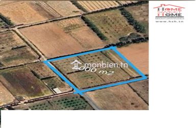 Terrain Agricole EL Zayati à Vendre à Solimen