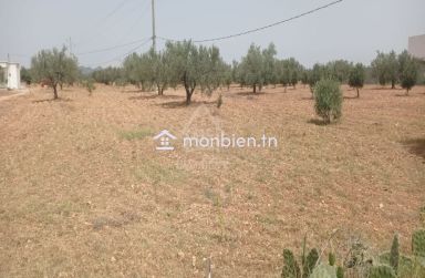 Terrain de 4800 m² à vendre à Sidi Mtir 51355351