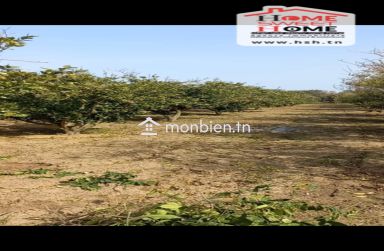 Ferme Rommana à Vendre à Sawnin, Ras Jbal, Bizerte