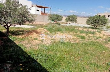 Terrain clôturé de 687 m² à vendre à Hammamet Sud 51355351