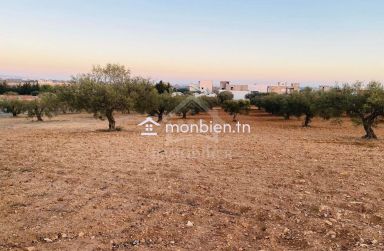 Terrain de 1000 m² à vendre à 200 MD à Hammamet Sud 51355351