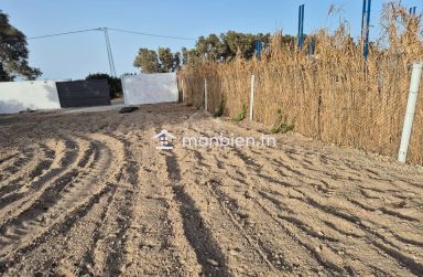 Terrain de 580 m² à Maamoura à vendre 51355351